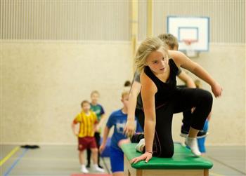 Lovund flerbrukshall - Klikk for stort bilde