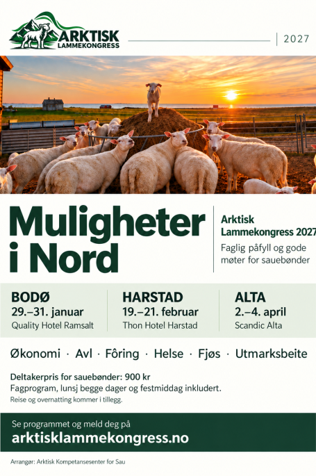 Lenke til artikkel: Arktisk Lammekongress