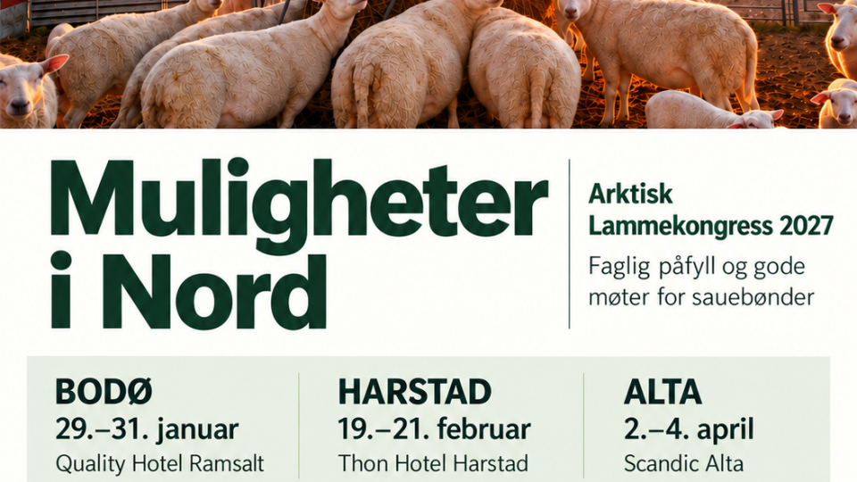 Lenke til artikkel: Arktisk Lammekongress